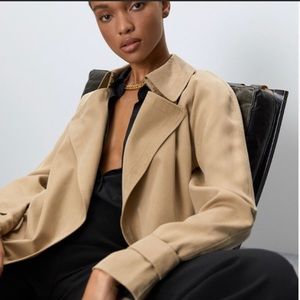 Aritzia Lawson Trench Coat